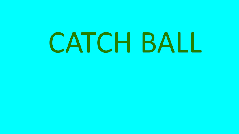 Catch Ball 