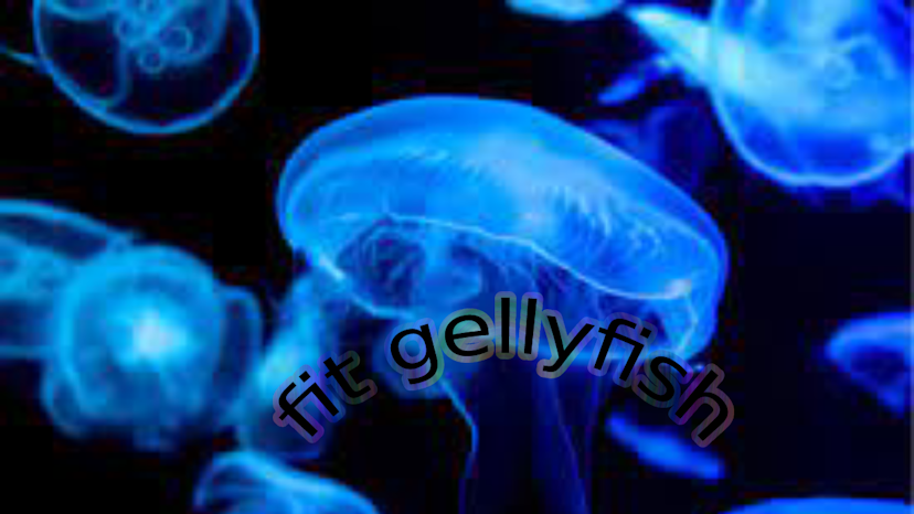 Fit Jellyfish